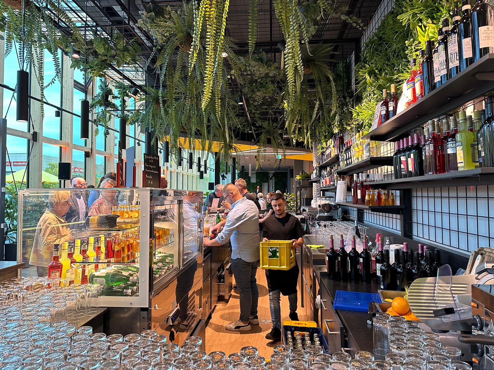Reify, Roots Dodenhof