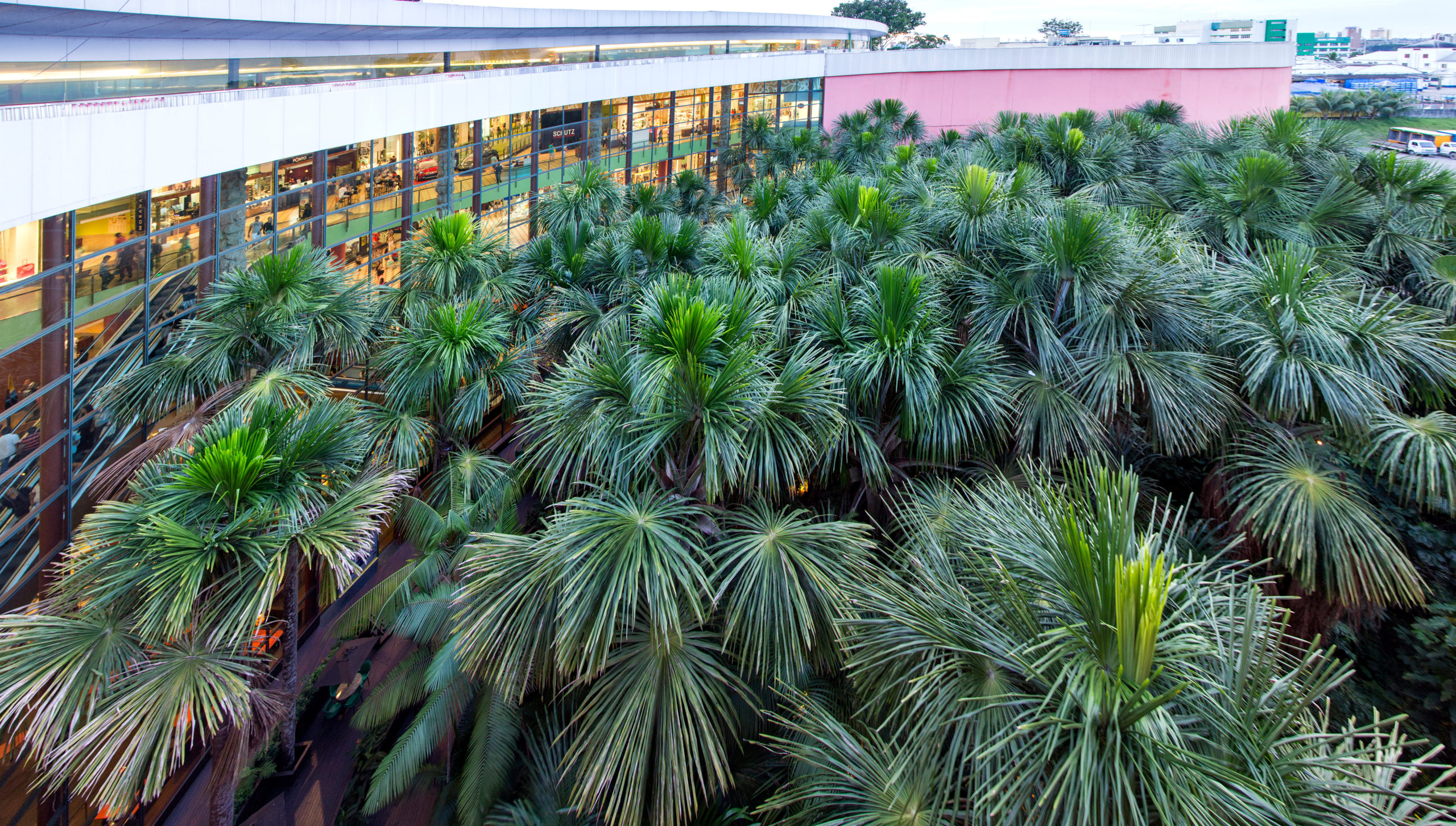 Reify, Manauara Shopping Project